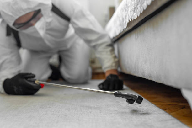 Professional Bed Bug Control technician working in Merchantville, NJ