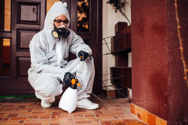 Reliable Bed Bug Control contractor in Merchantville, NJ by Nex Pest Control