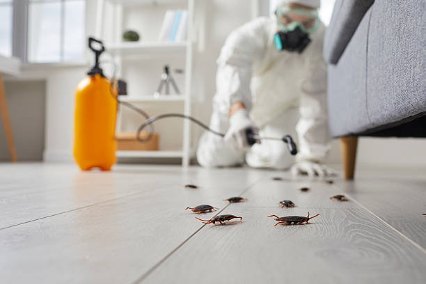 Trusted Rodent Control service in Merchantville, NJ - Nex Pest Control